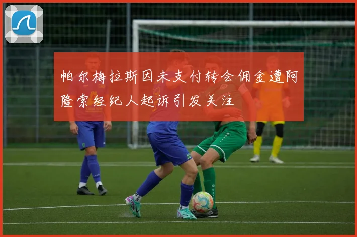 帕尔梅拉斯因未支付转会佣金遭阿隆索经纪人起诉引发关注