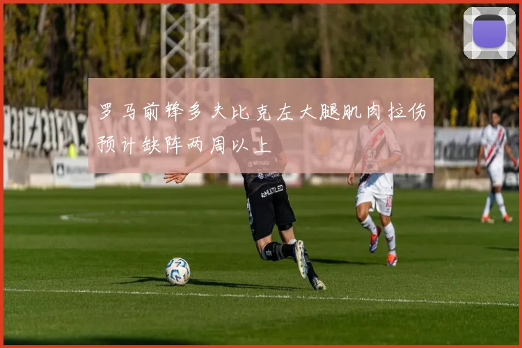 罗马前锋多夫比克左大腿肌肉拉伤预计缺阵两周以上