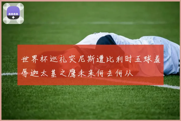 世界杯巡礼突尼斯遭比利时五球羞辱迦太基之鹰未来何去何从