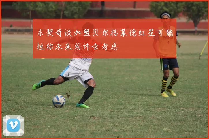 东契奇谈加盟贝尔格莱德红星可能性称未来或许会考虑