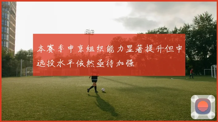 本赛季申京组织能力显著提升但中远投水平依然亟待加强